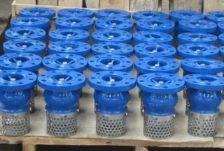 foot valve