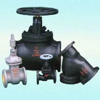 Flanged Cast Iron Foot Valve, DIN, JIS