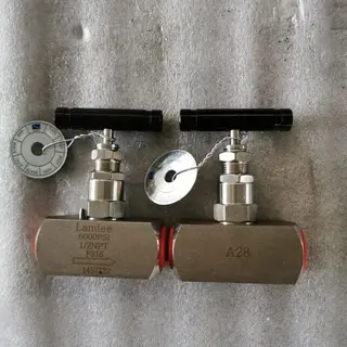 Stainless Steel Needle Valve, 6000 PSI, 1/2 Inch, DN15, NPT