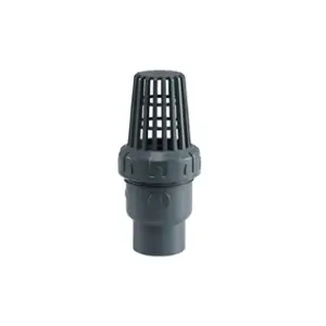 CPVC Foot Valve, 1-3 IN, DN15-DN80, 150 PSI