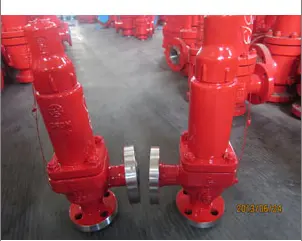 316 Stainless Steel Relief Valve, PN900, D Orifice