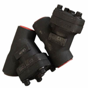 ASTM A105 Wye Strainer, DN25, PN400, SCH 80, SW, Black