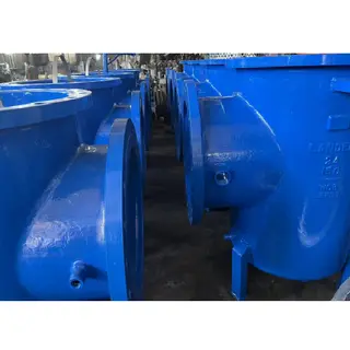 ASTM A216 WCB Basket Strainer, 24IN, CL150, DN600, PN20, RF