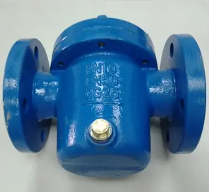 Flanged Basket Strainer, GG25, PN10, DN50