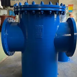 ASTM A234 WPB Basket Strainers, 24 Inch, 150 LB, RF Ends