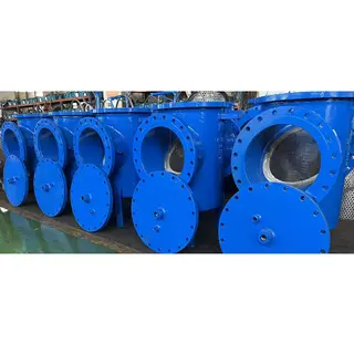 Cast Steel Basket Strainer, ASTM A216 WCB, 20IN, CL150, RF