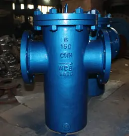 Bucket Type Strainer, A216 WCB, SS304 Mesh, PN900, DN600