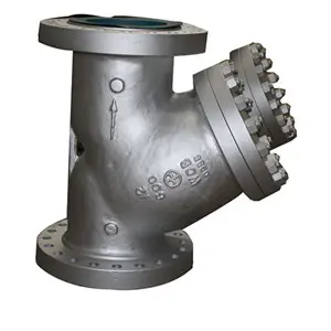 Y Type Strainer, ASTM A216 WCB, SS316L Screen, DN300, PN100, RF