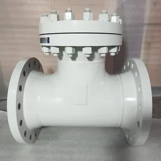 T Strainer, API 598, Inconel 625, A234 WPB, A105, 12 IN, 300LB