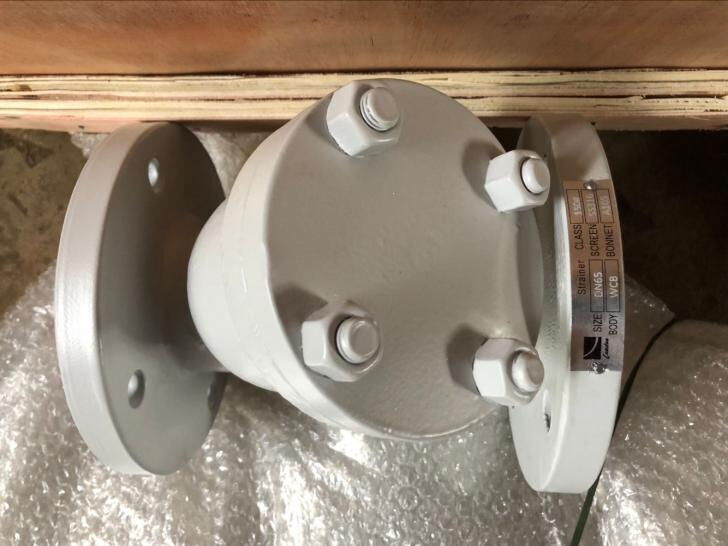 ASME B16.34 Y Strainer