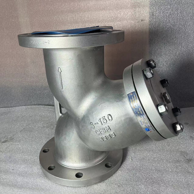 Stainless Steel Y Strainer, CF3M, 6 IN, 150 LB, RF Flanged