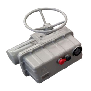 Electric Valve Actuator, 3 Phase, 60 Hz
