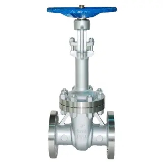 Installation for Low Temperature Gate Valve