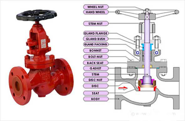 Upper Threaded Stem and Lower Threaded Stem