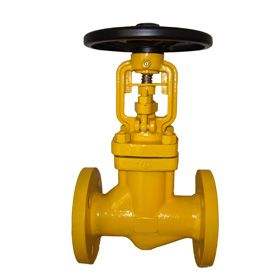 Features of Chlorine-Specific Valves