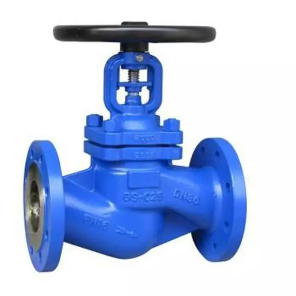 Specified Bellow Globe Valves Used for Chlorine