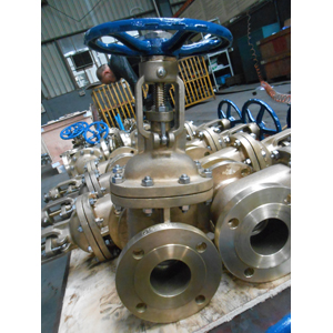 ASTM B148 C95800 Alumium Bronze Gate Valve, PN20, DN80, Flanged End