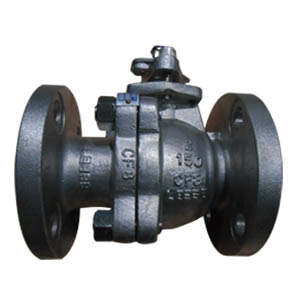 Ball Valve, ASTM A351 GR CF8, 304SS Ball, PTFE Seat