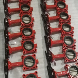 SS316L Butterfly Valve, ASTM A216 WCB, Flanged RF, EPDM Seat