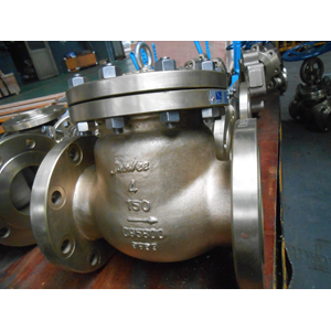 Aluminum Bronze Swing Check Valve, ASTM B148 C95800, PN20, DN100