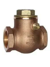 Bronze Swing Type Check Valve, Brass Disc & Cap