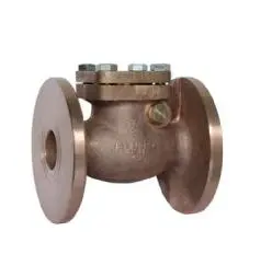LG2 Bronze Bolted Bonnet Swing Check Valve, PN 16