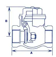 Bronze Swing Check Valve