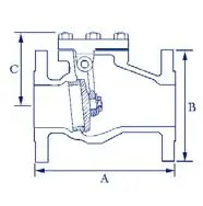 Cast Iron Swing Check Valve