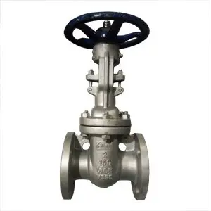 Wedge Gate Valve, A216 WCB, DN50, PN20