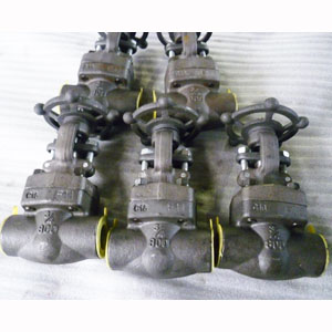Alloy Steel Gate Valve, A182 F11 3/4IN, CL800