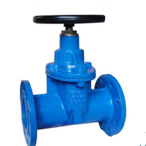 Resilient Seated Gate Valve, GGG50, PN16, DN300