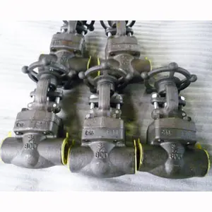 Alloy Steel Gate Valve, A182 F11 3/4IN, CL800