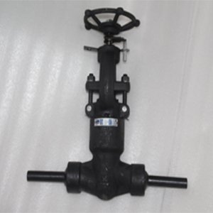 ASTM A105 Globe Valve, DN15, PN420, SW, API602
