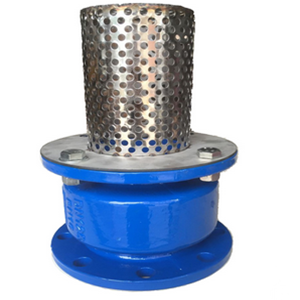 GGG50 Foot Valve, 150LB, 16Inch