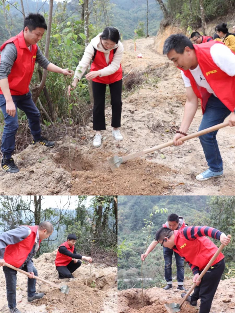 make-s-tree-planting-activity-on-2019-china-s-arbor-day-sapling.jpg
