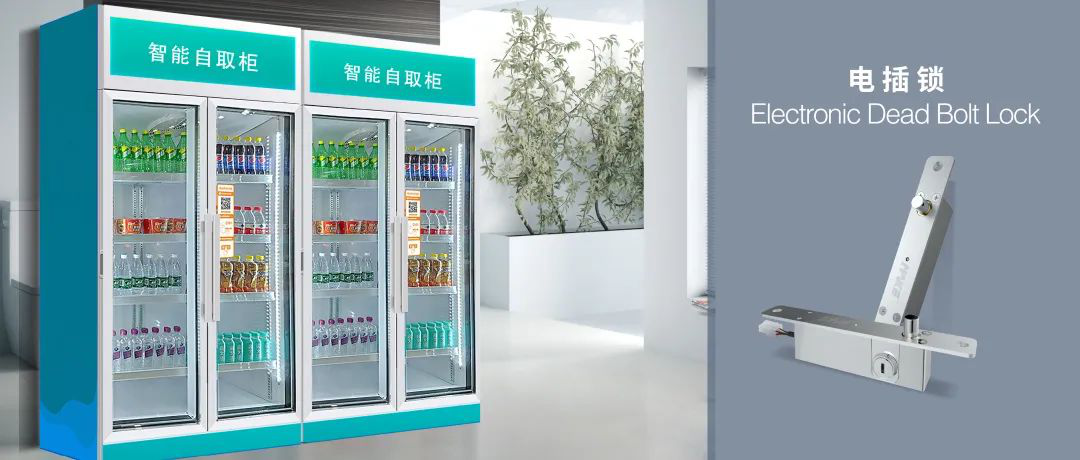 Access Cabinet / Secure Access Locker