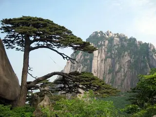 Three Days Bus Trip to Yellow Mountain in Anhui Province