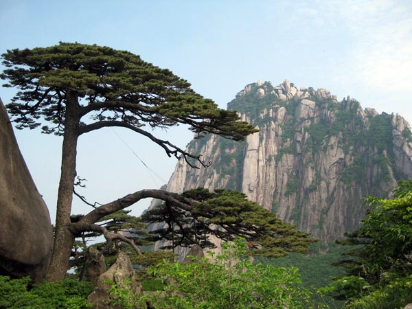 Three Days Bus Trip to Yellow Mountain in Anhui Province