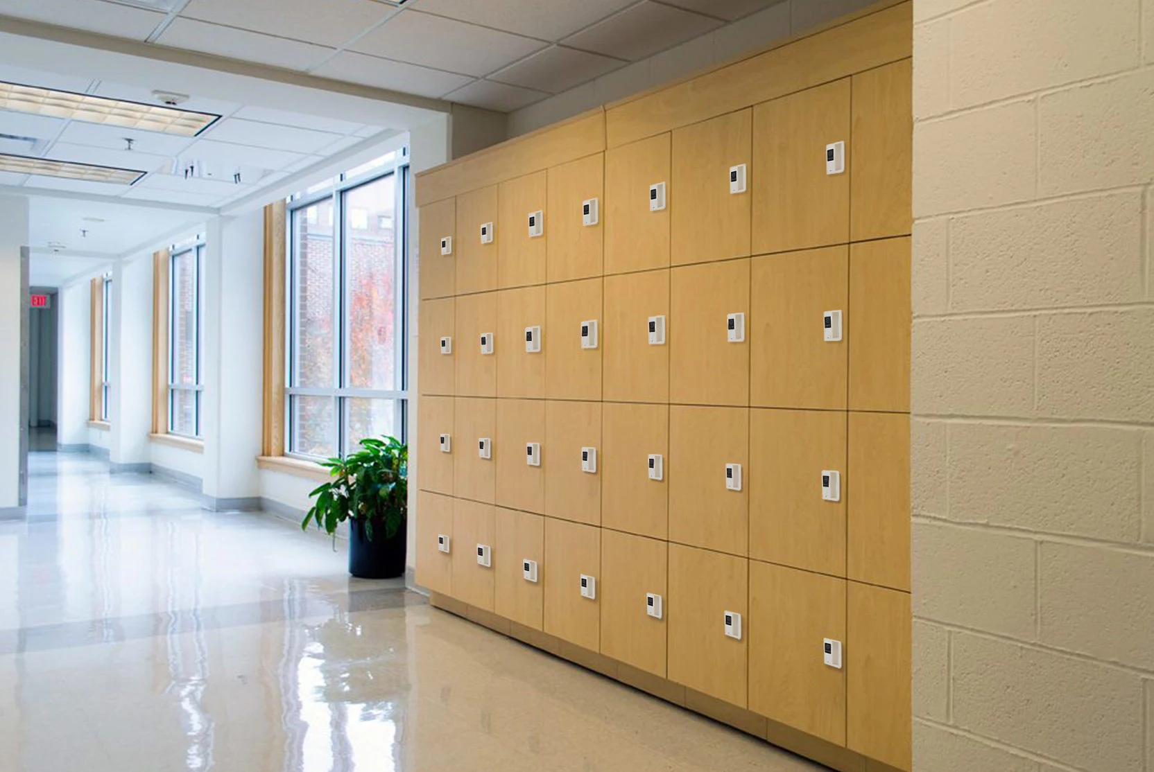 Why cabinets and lockers with electronic lock are so popular