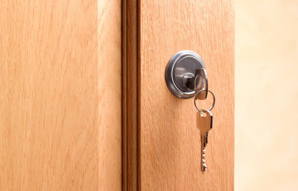 How Cam Locks Enhance Protection for High-Security Cabinets