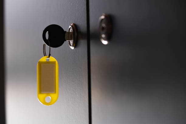 Dimple Key Cam Lock: High-Security Cabinet and Vending Machine Lock Solutions