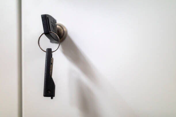 Inside Pin Tumbler Cam Locks: Combining Precision, Durability, and Security