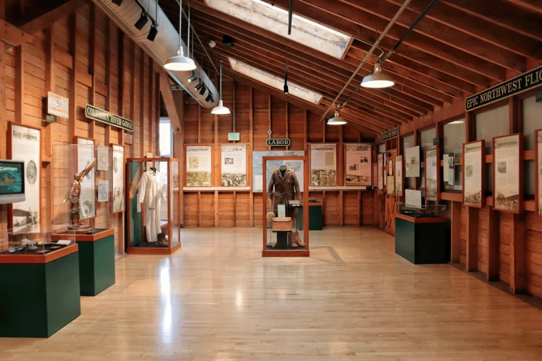 Museum Museum