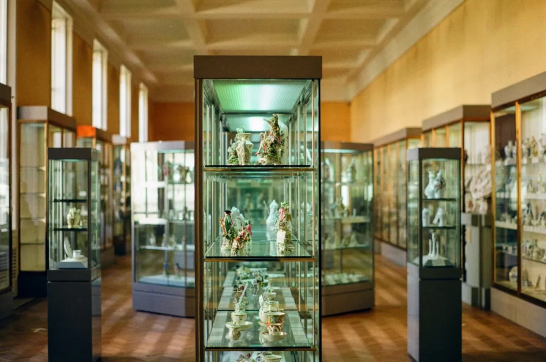 Museum Display Cabinet of Camoany A Museum Display Cabinet of Camoany A