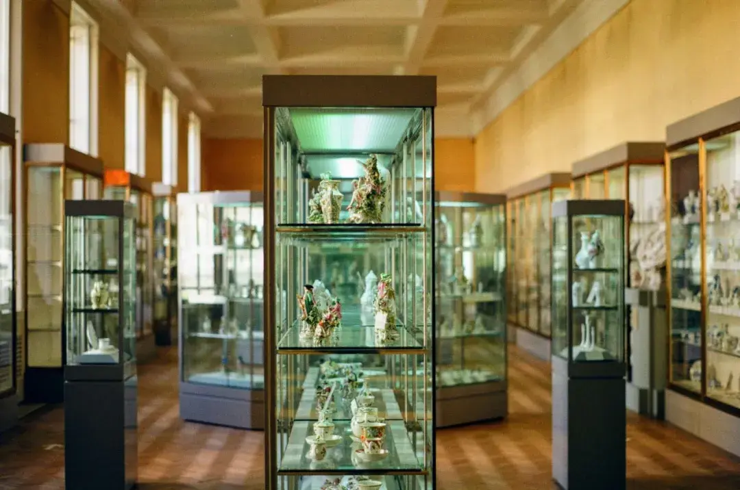 Museum Display Cabinet of Camoany A