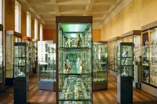 Museum Display Cabinet of Camoany A