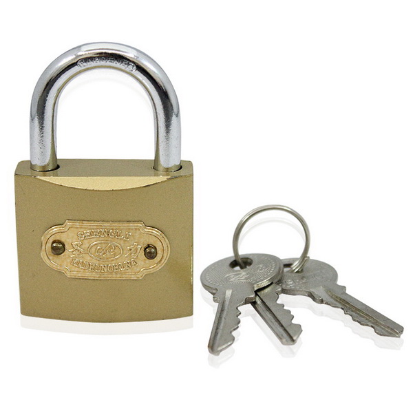 The Maintenance of Locks Appearance and Performance