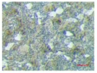 Organization of the reducer