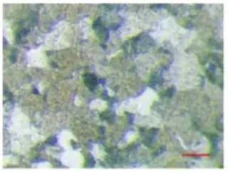 Structure of straight tubes