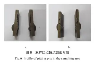 Cross-sectional morphology of pitting in the sampled area